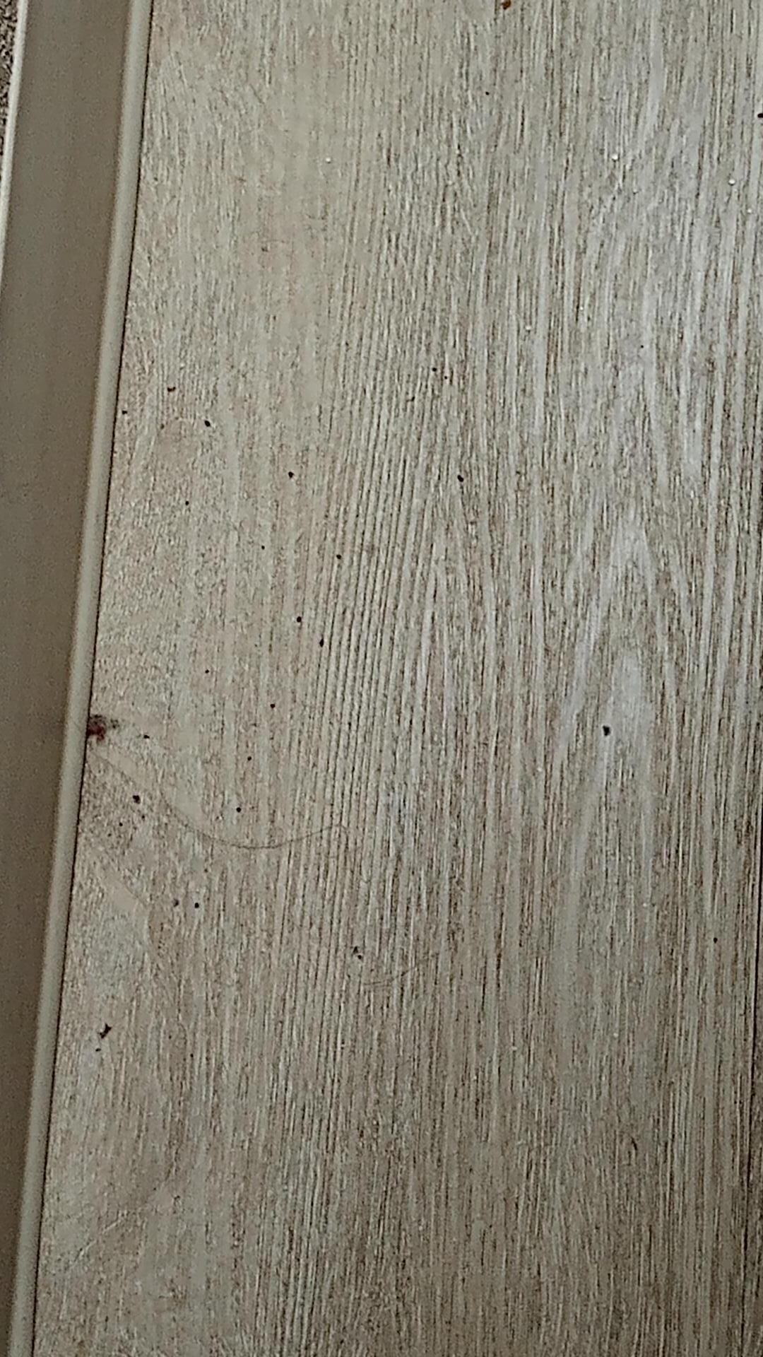 Dirt on the floor