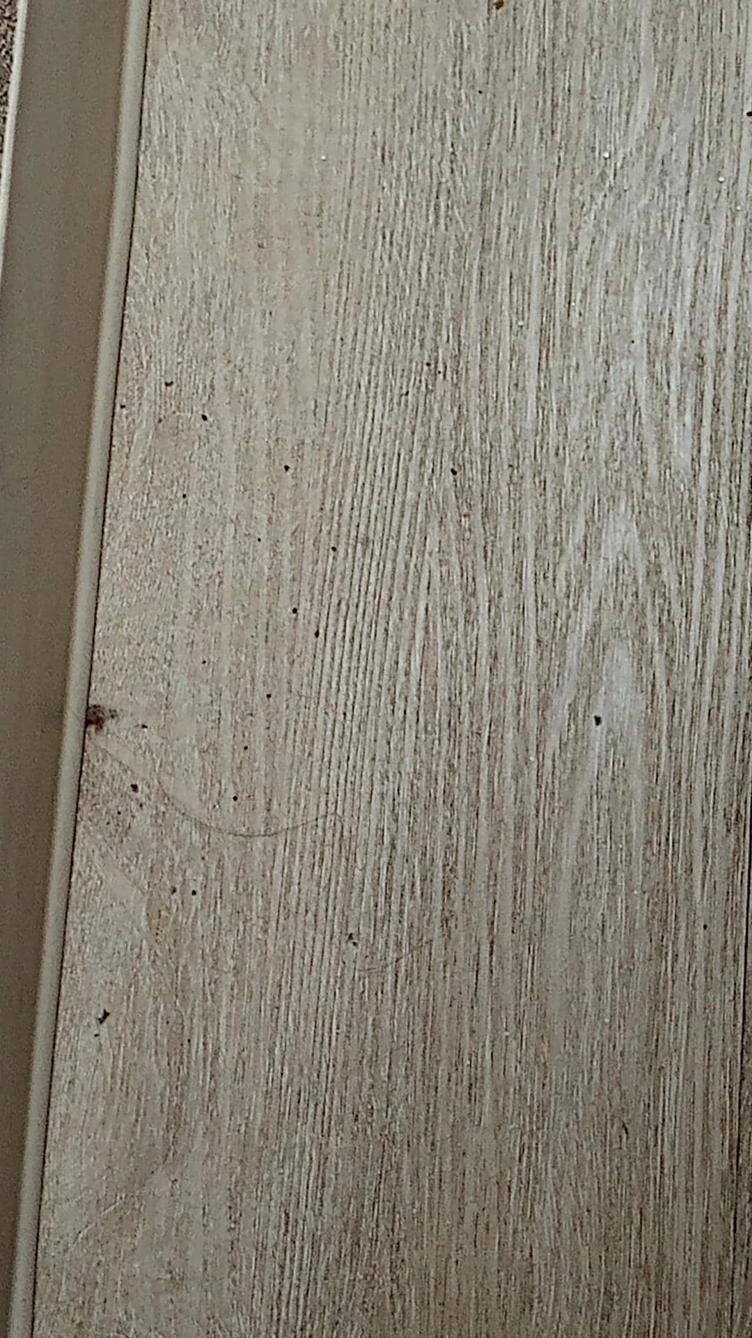 Dirt on the floor