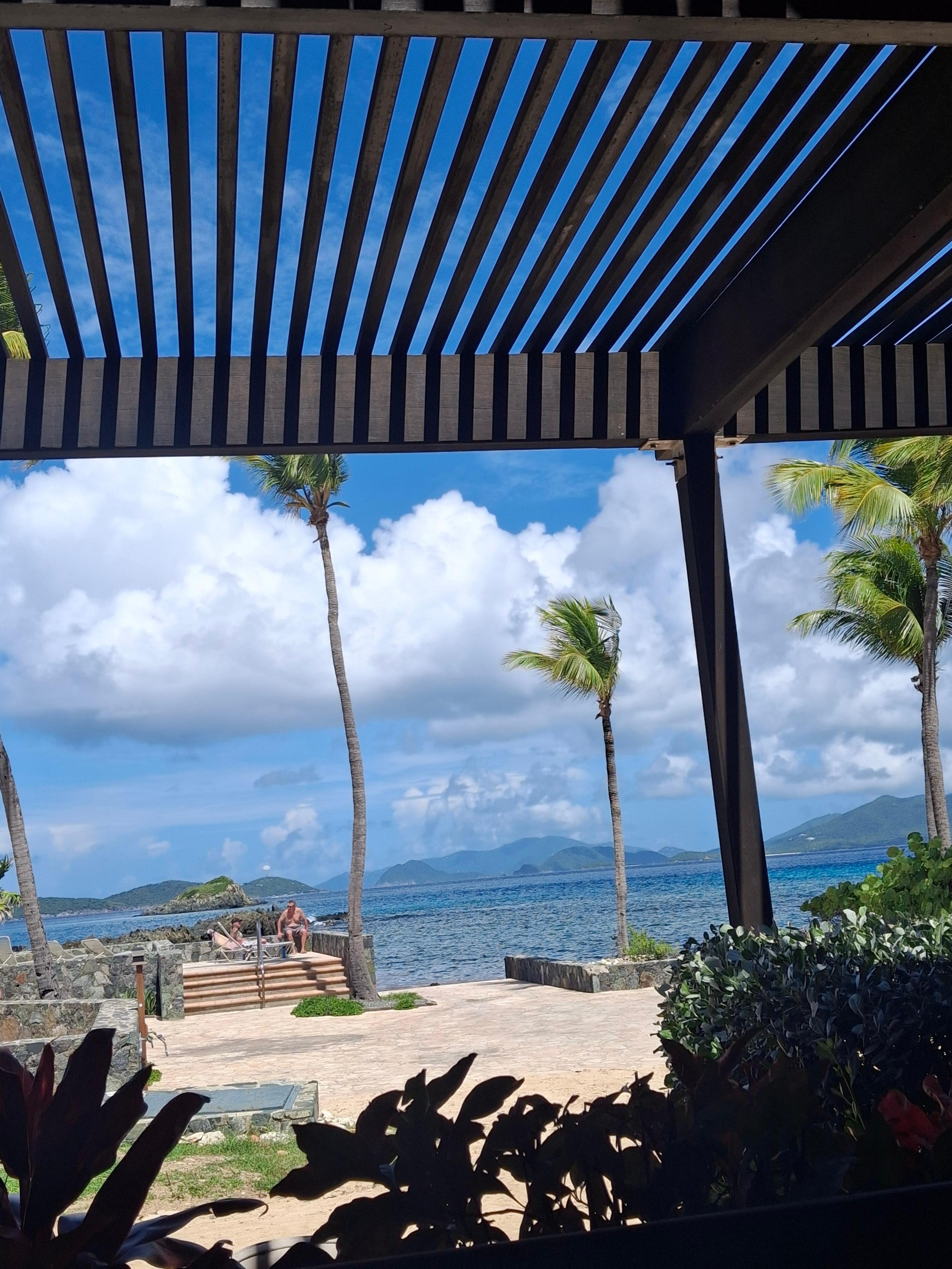 View from back patio 