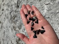 The beach is known for it's seat treasures!