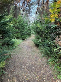 Trail on the property