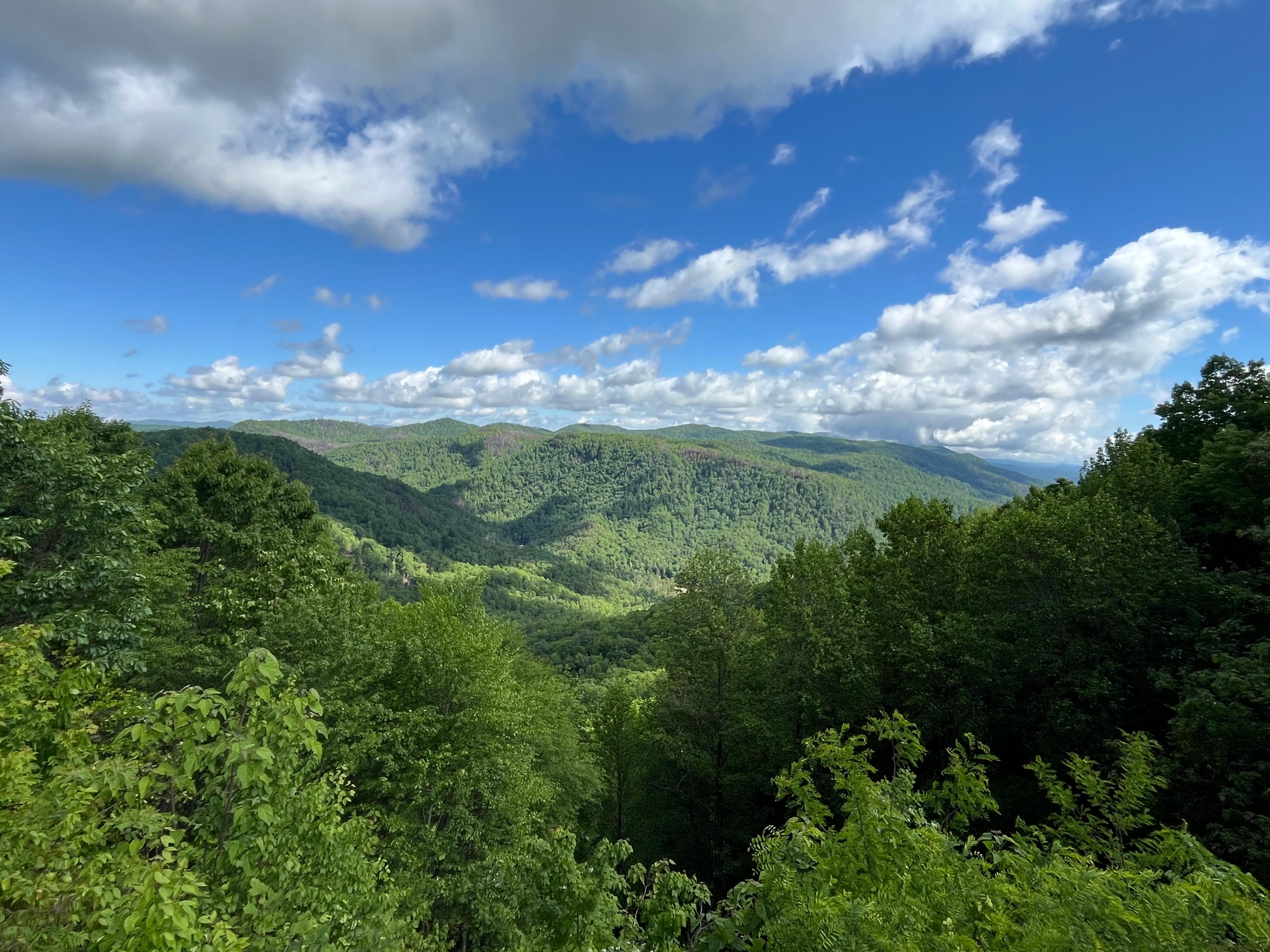 The view over the green river.