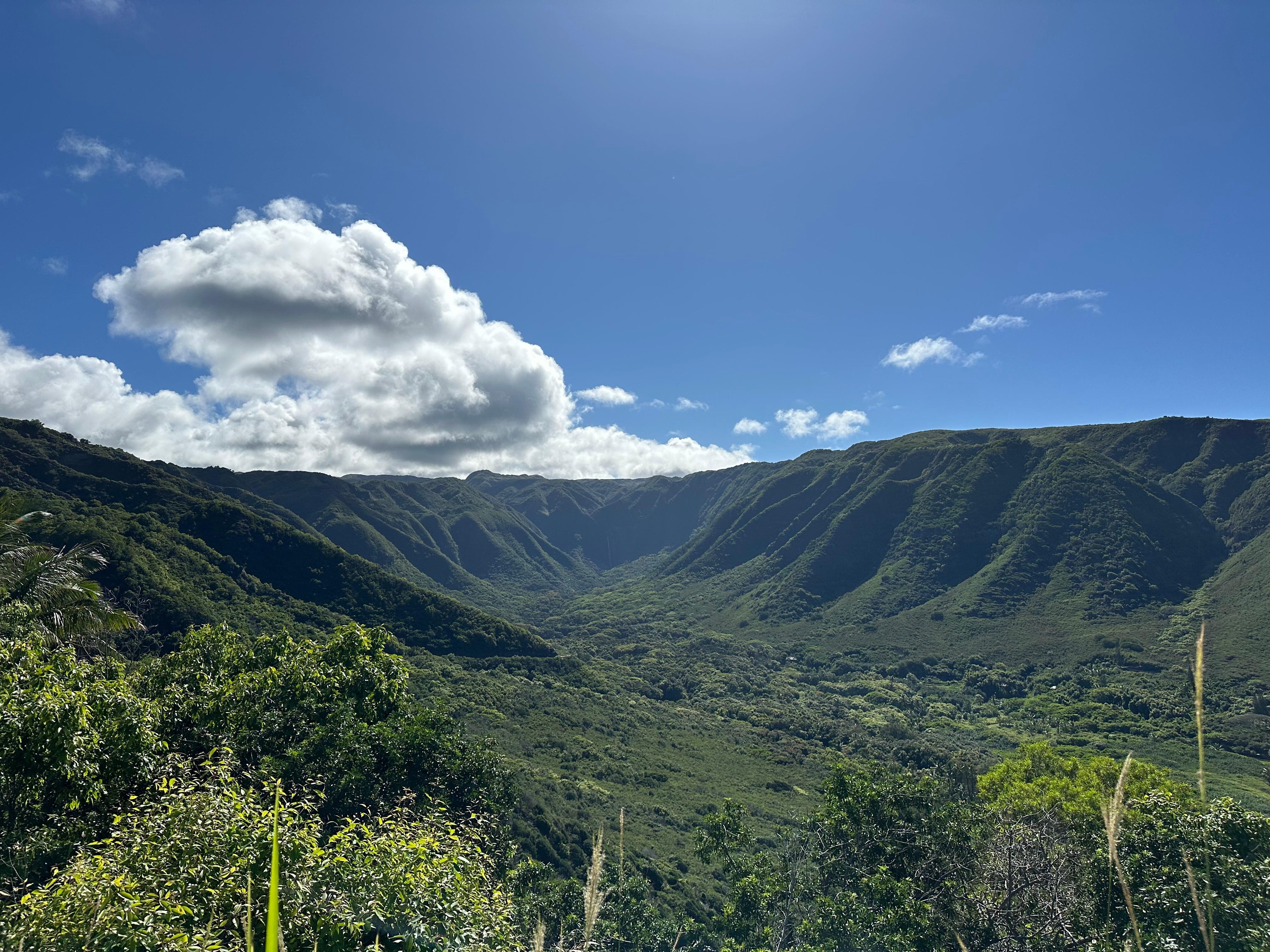 View of the valley not far from the cottage. Also visible on the loop hike on the ranch