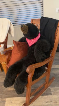 Loved the bear!