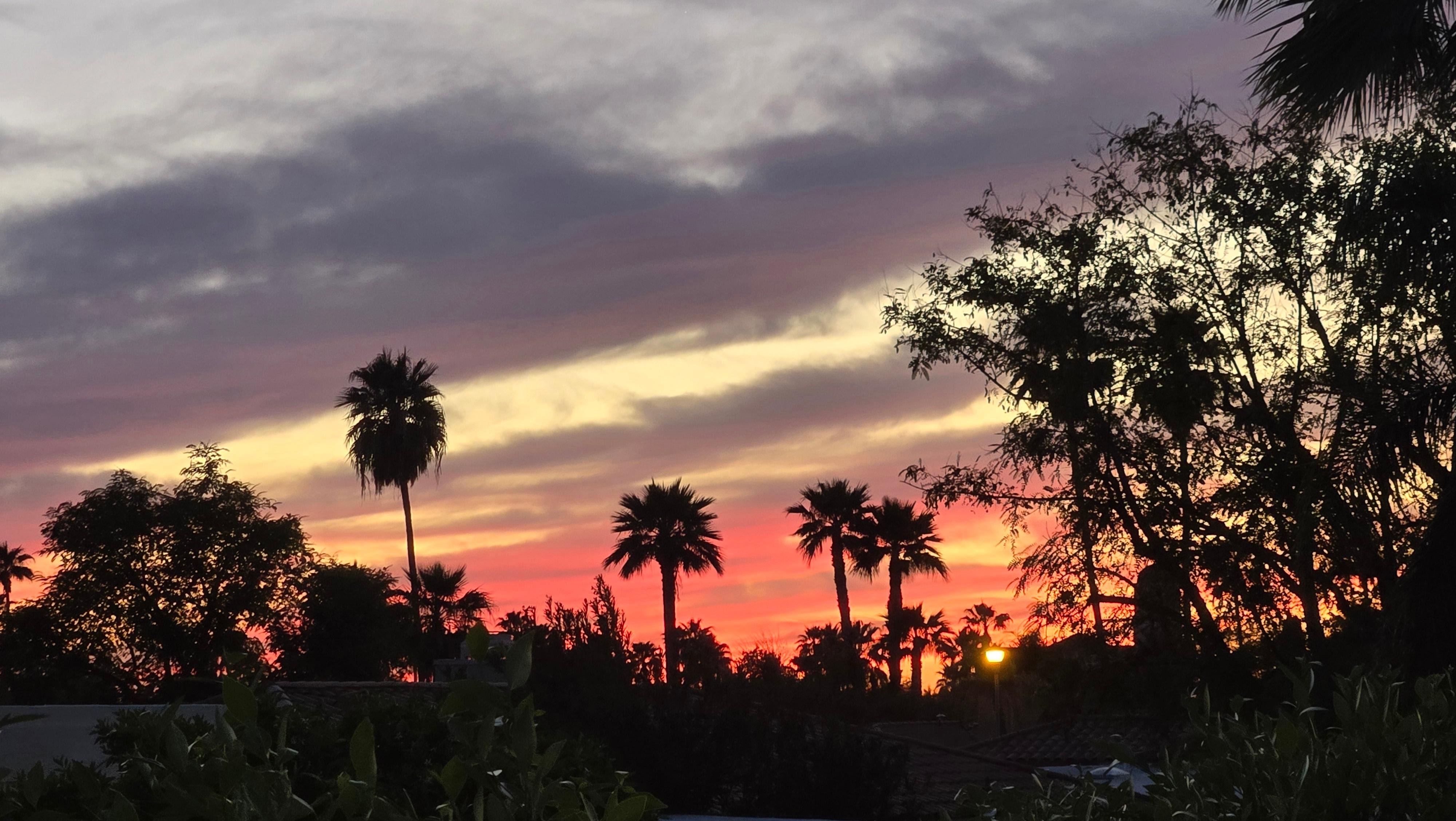Gorgeous sunsets from the backyard!