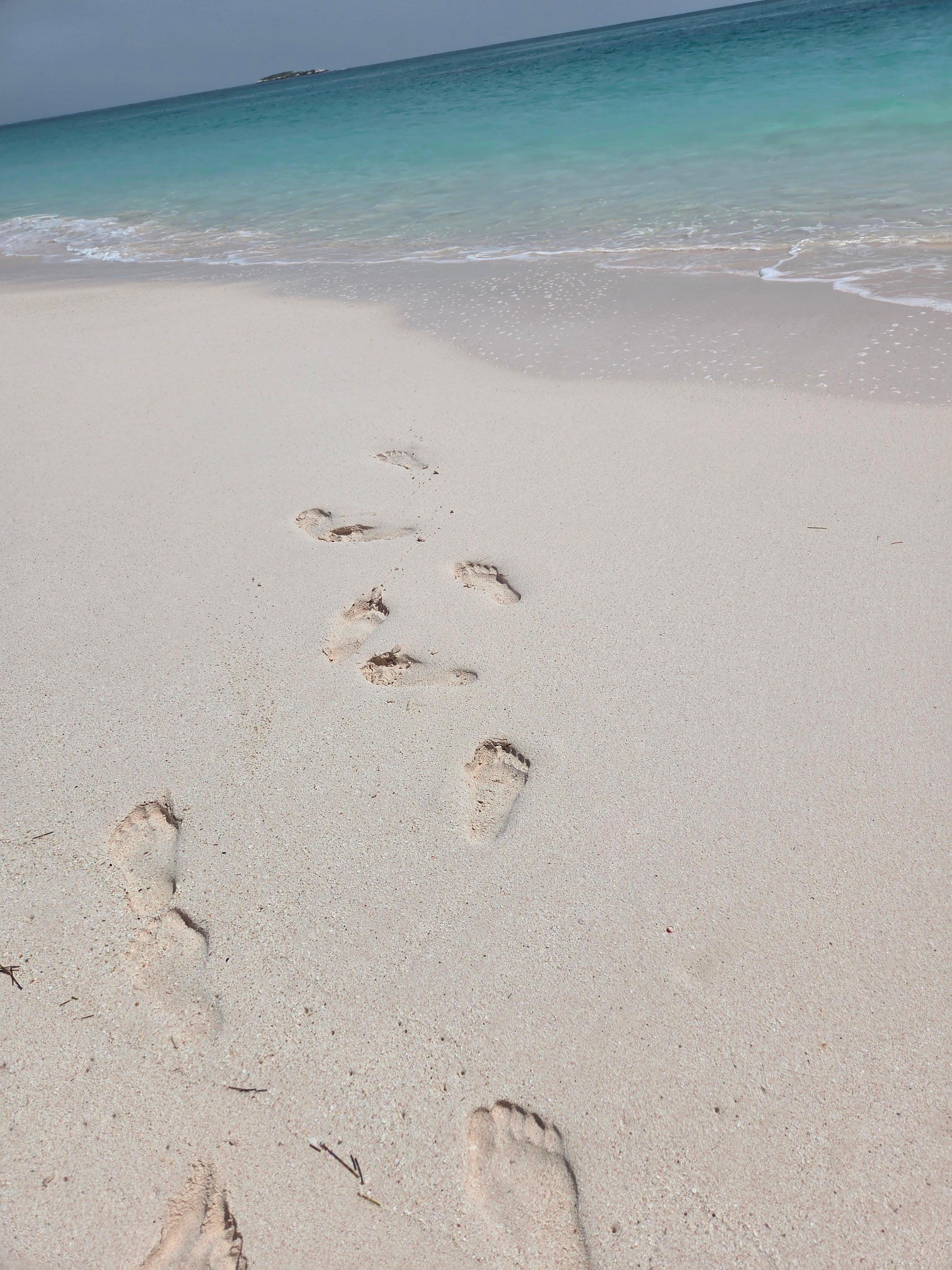 Our daily view at the beech