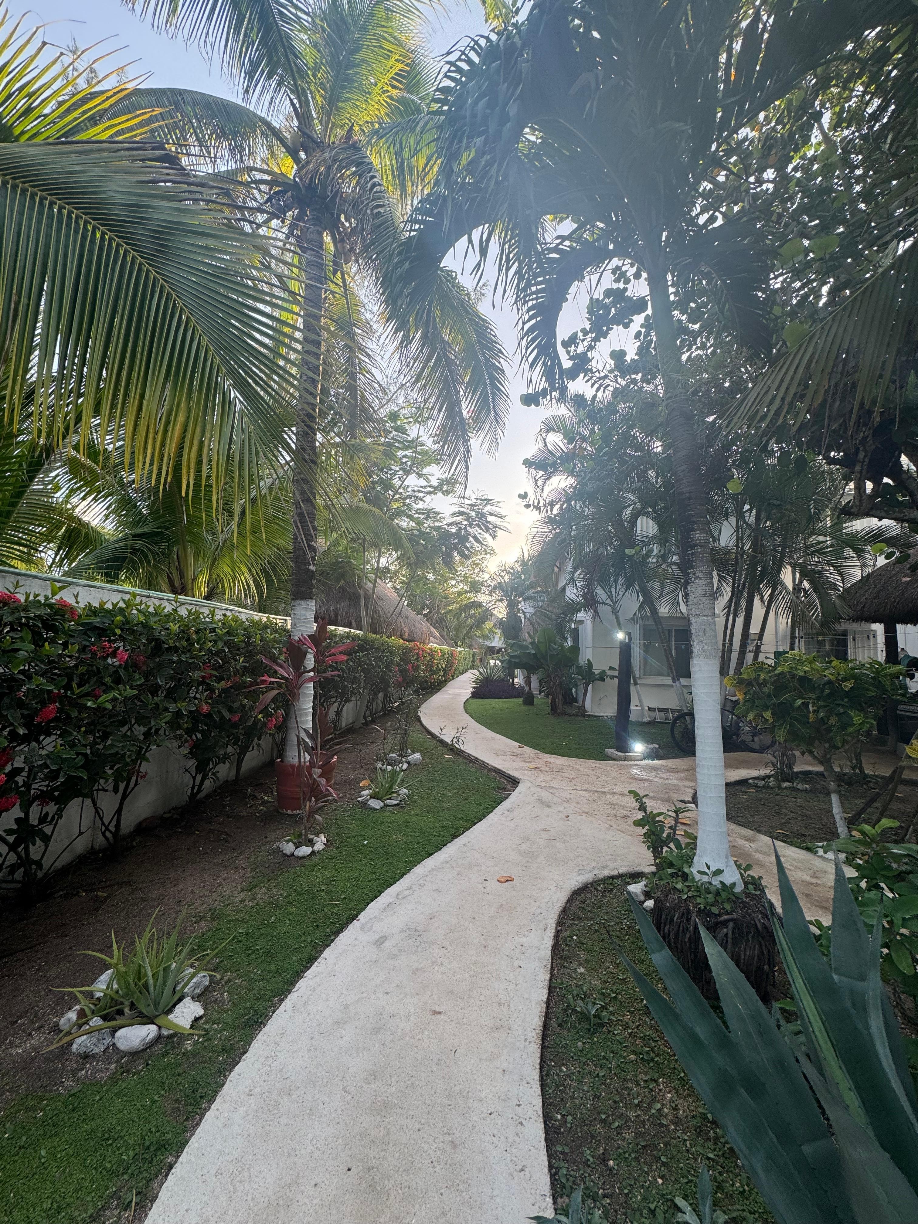 Walkway towards beach area 