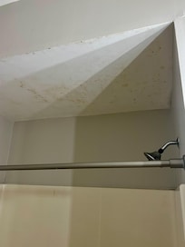 Mold/mildew in front bathroom