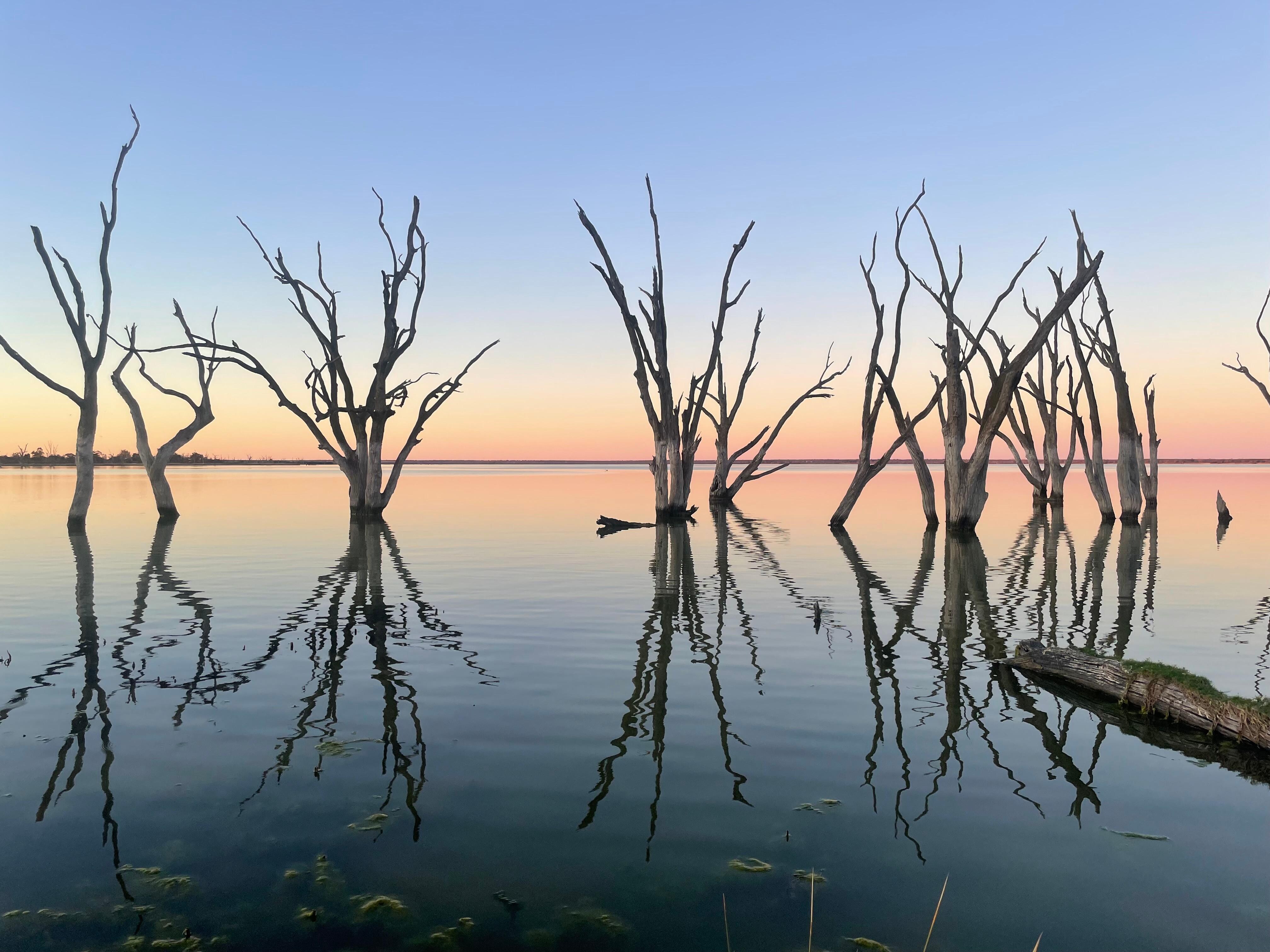 Amazing sunset on Lake Bonney taken from the holiday park grounds 