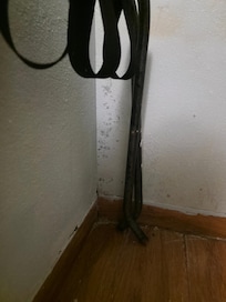 111 mold