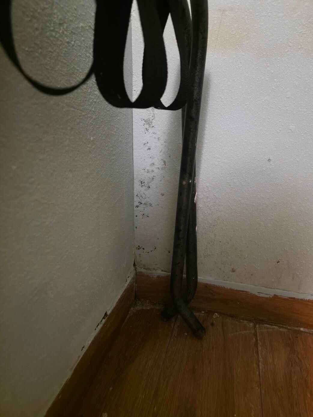 111 mold