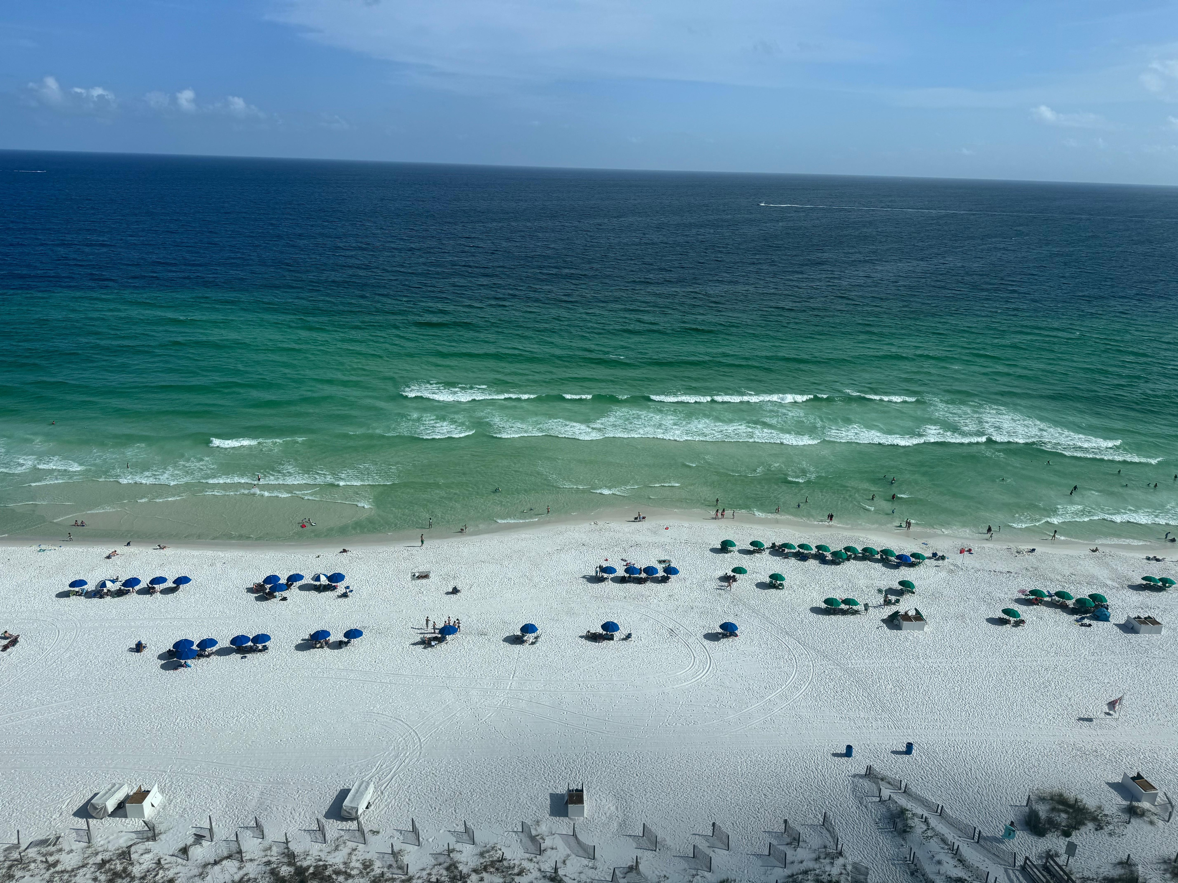 View from the patio. 