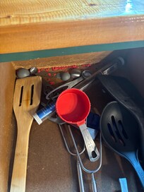 Chewed up measuring cup bits from possible rodent