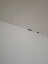 Mold