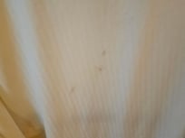 Stains on bedsheets