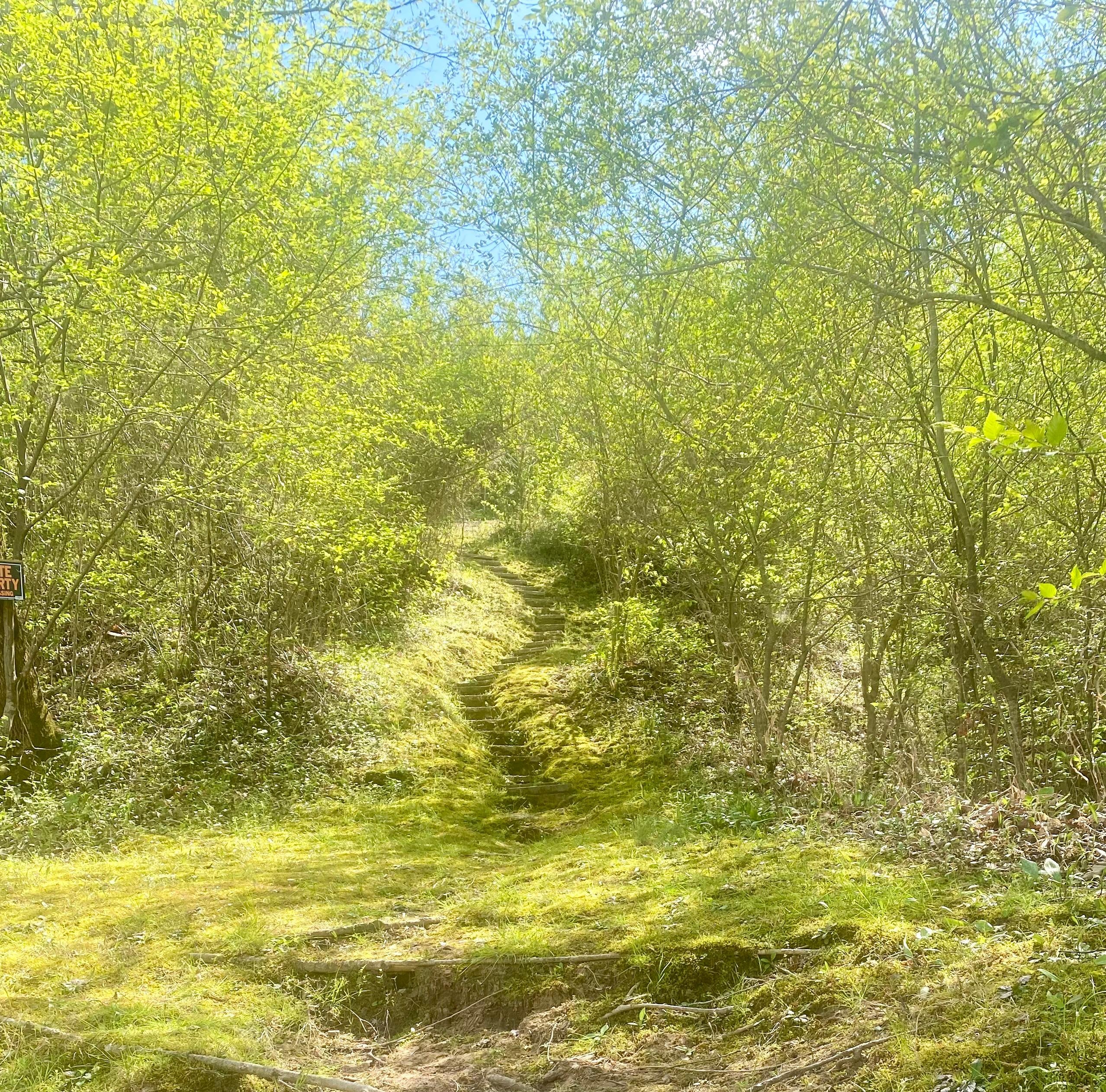 Path from the river to the house