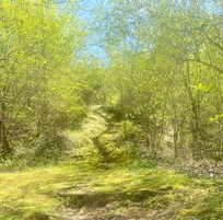 Path from the river to the house