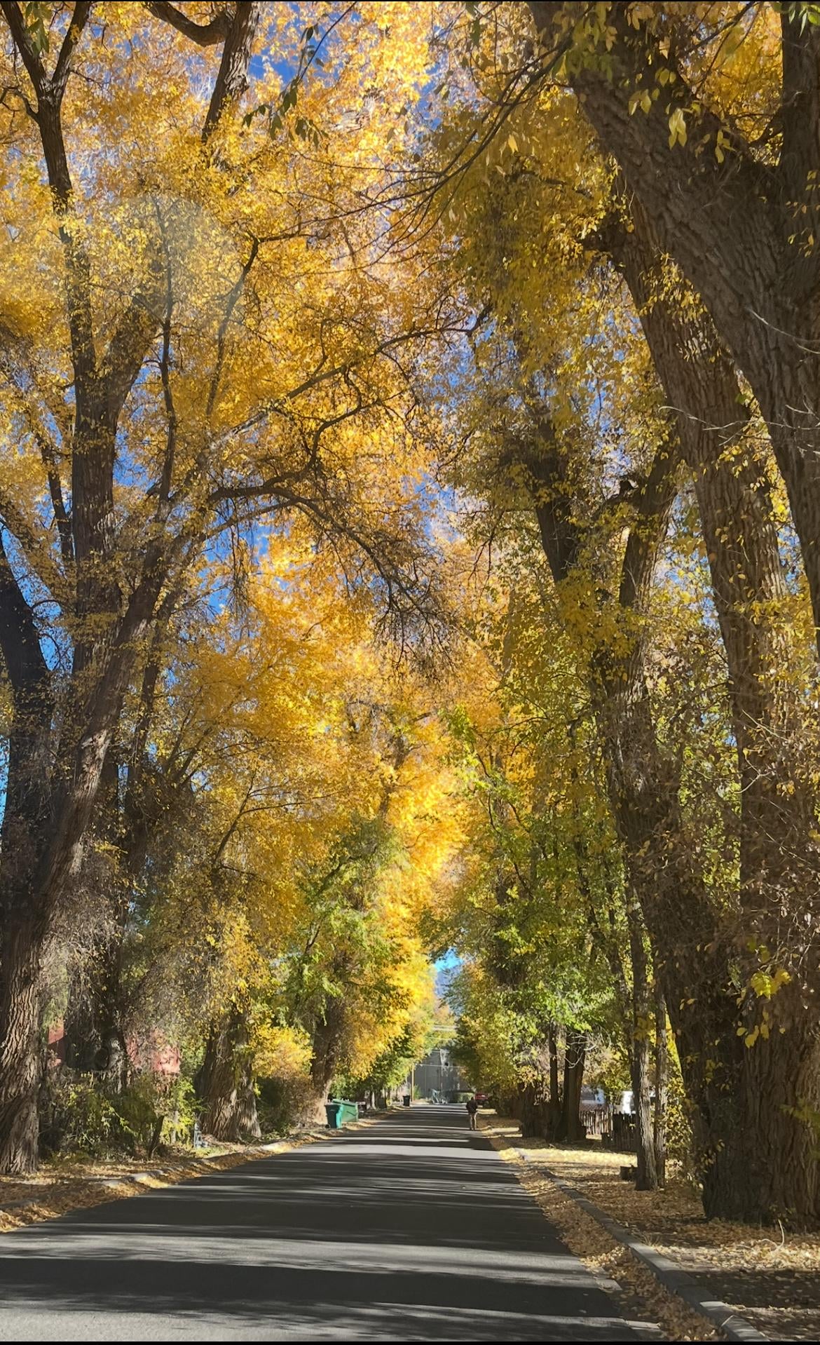 Road up to the casita