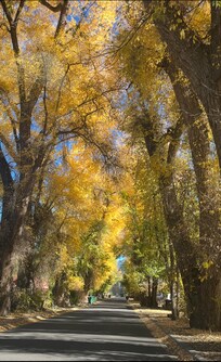 Road up to the casita