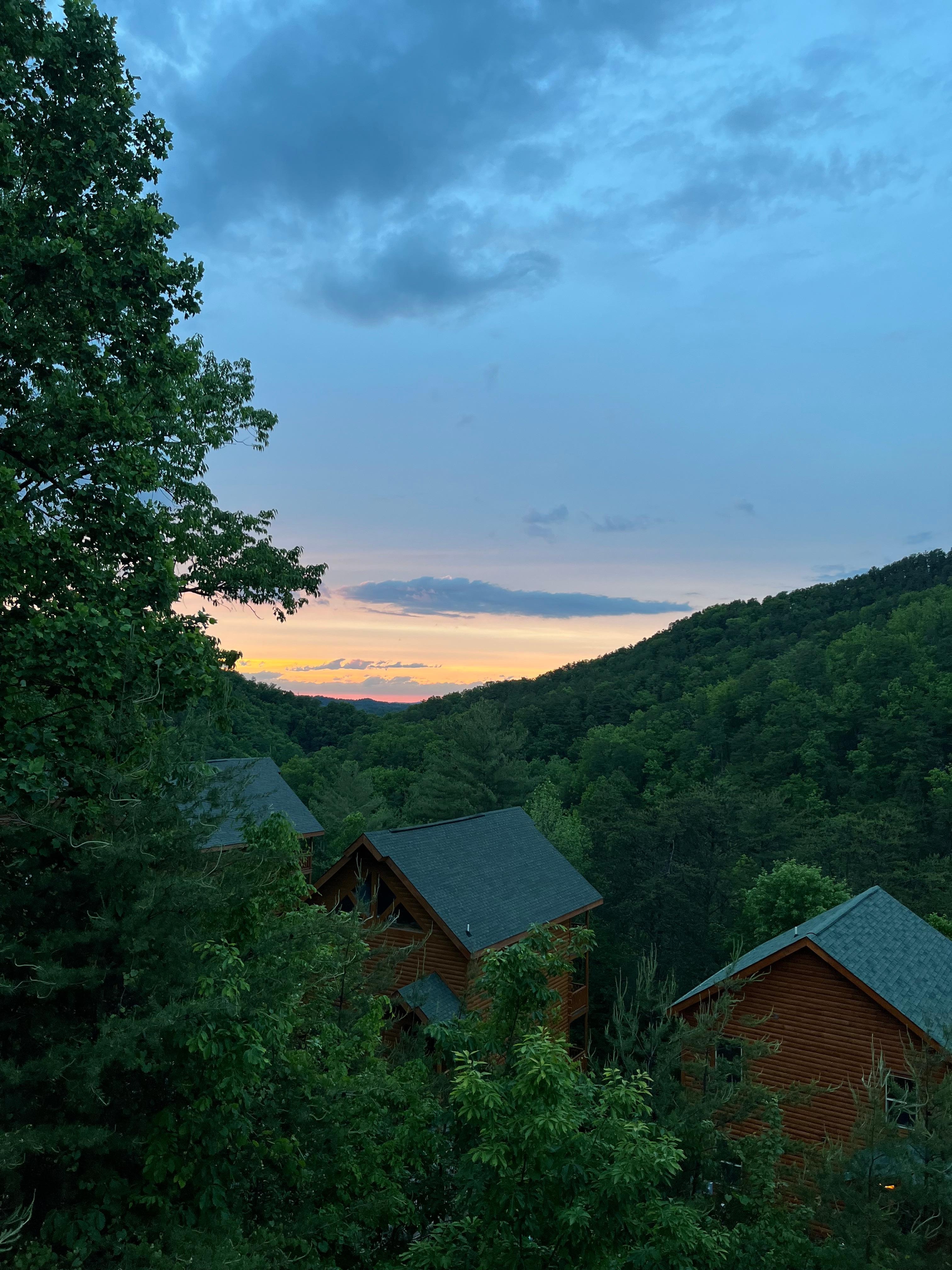 The view