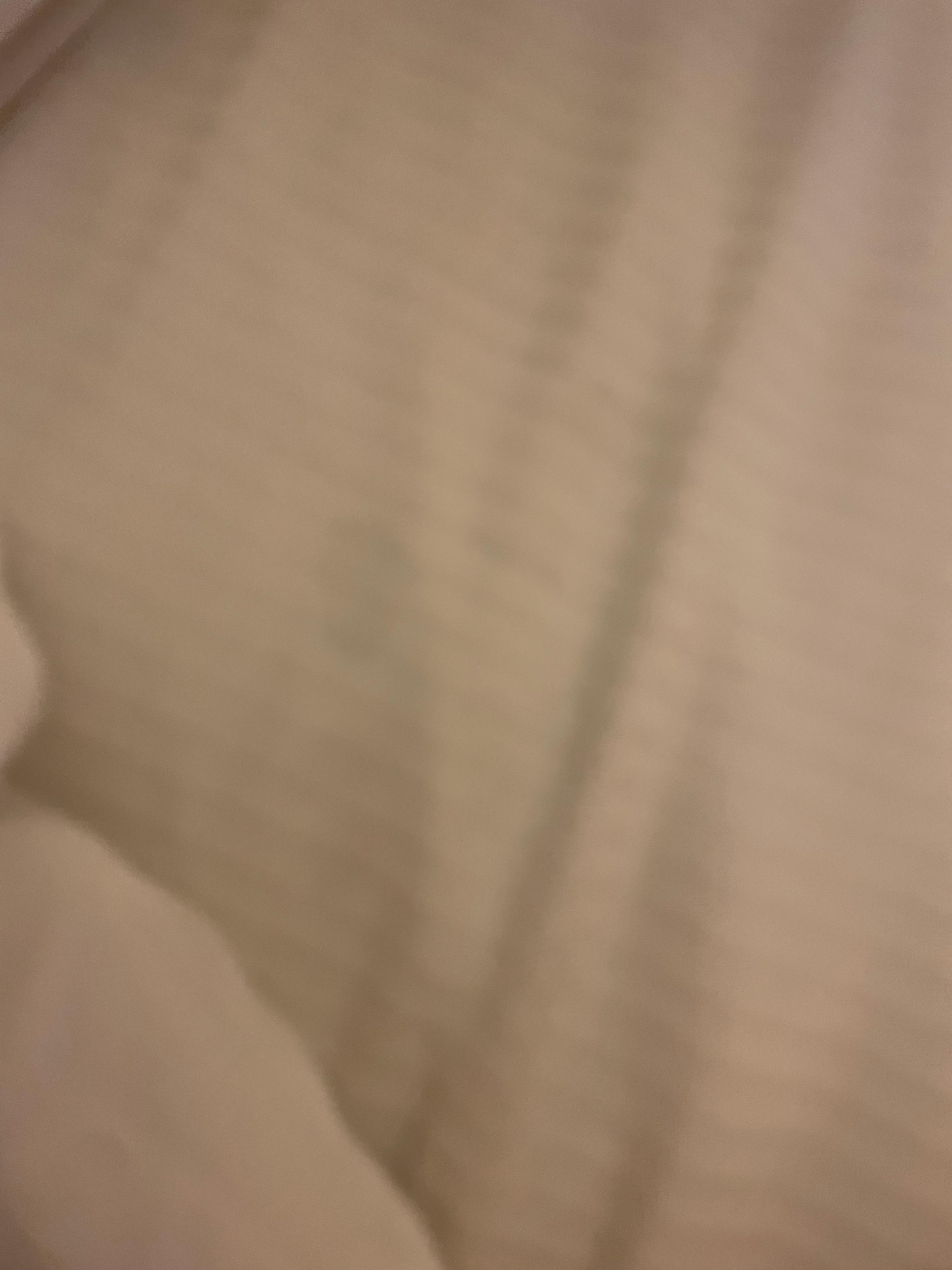 Long dark hairs on sheets and towels.