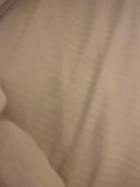 Long dark hairs on sheets and towels.