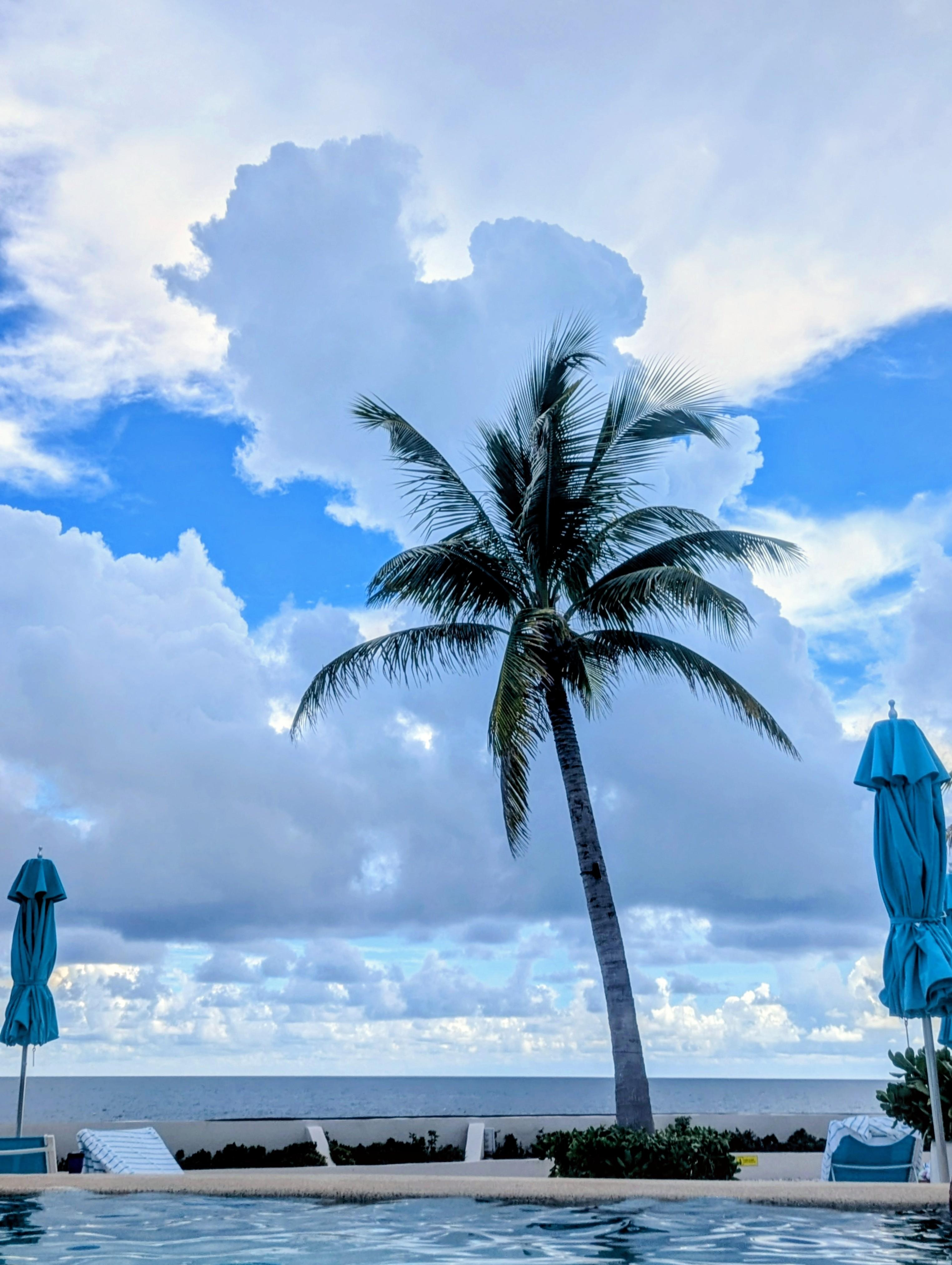 Looking out at the ocean from the pool next to the 5'Clock Somewhere Bar