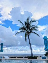 Looking out at the ocean from the pool next to the 5'Clock Somewhere Bar