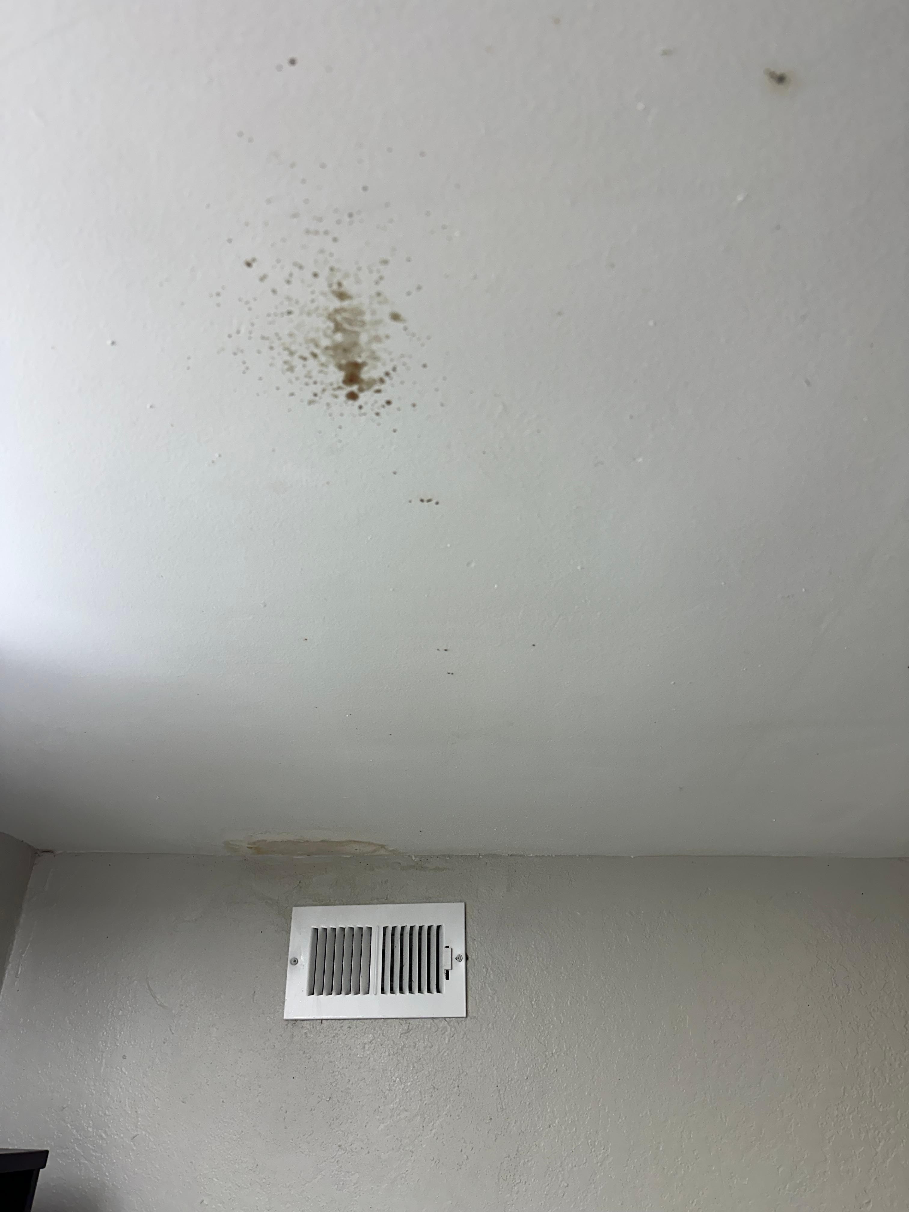 Nasty liquid stain on the ceiling and water/mold marks near the vent
