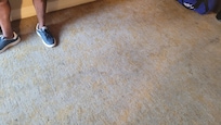 Dirty Carpet