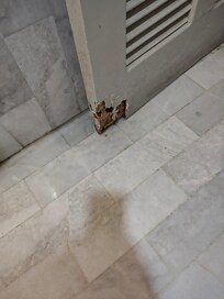 La puerta del baño podrida en la parte baja