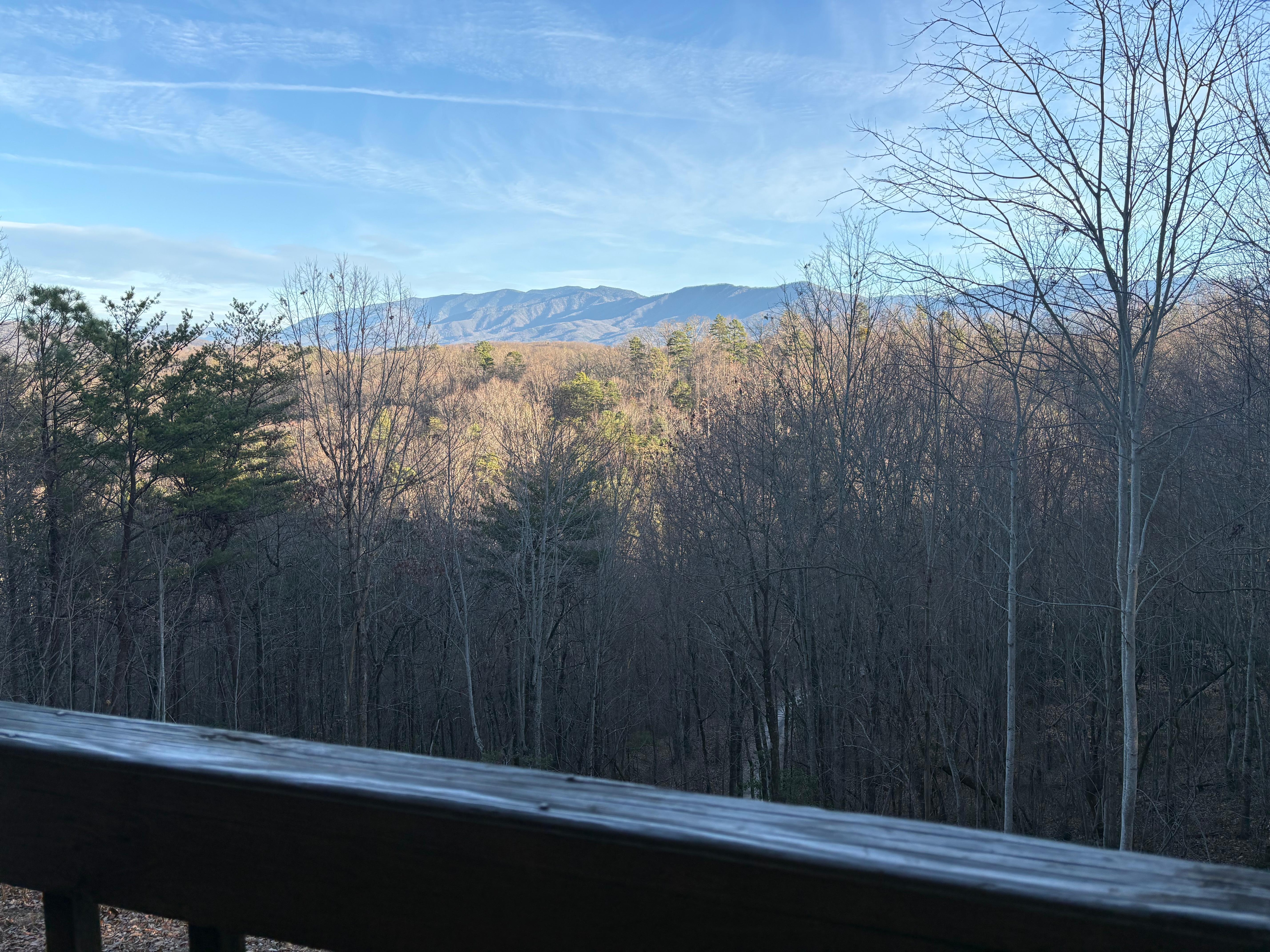 A view from the porch