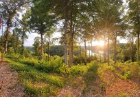 Overlook of the lake