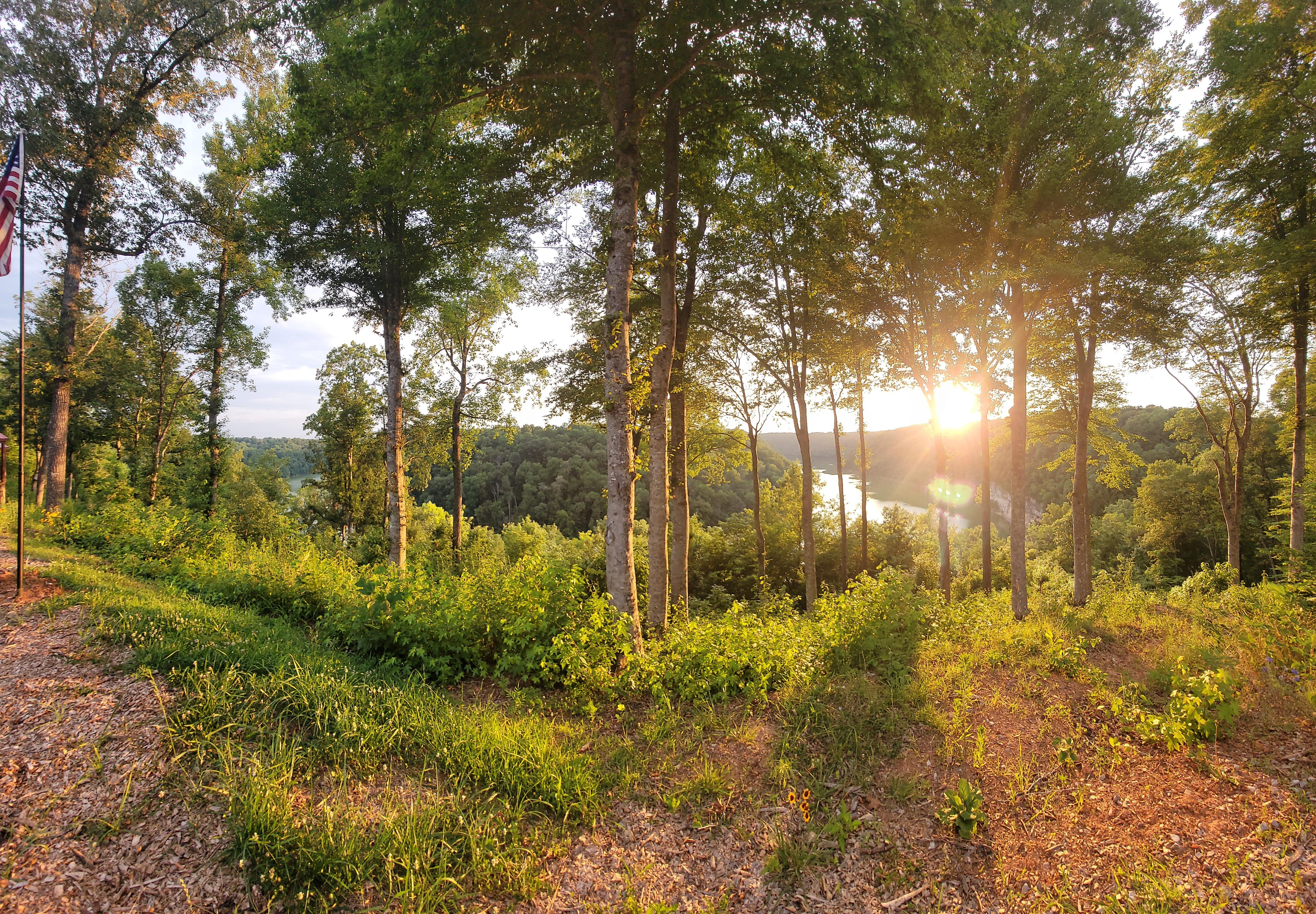 Overlook of the lake