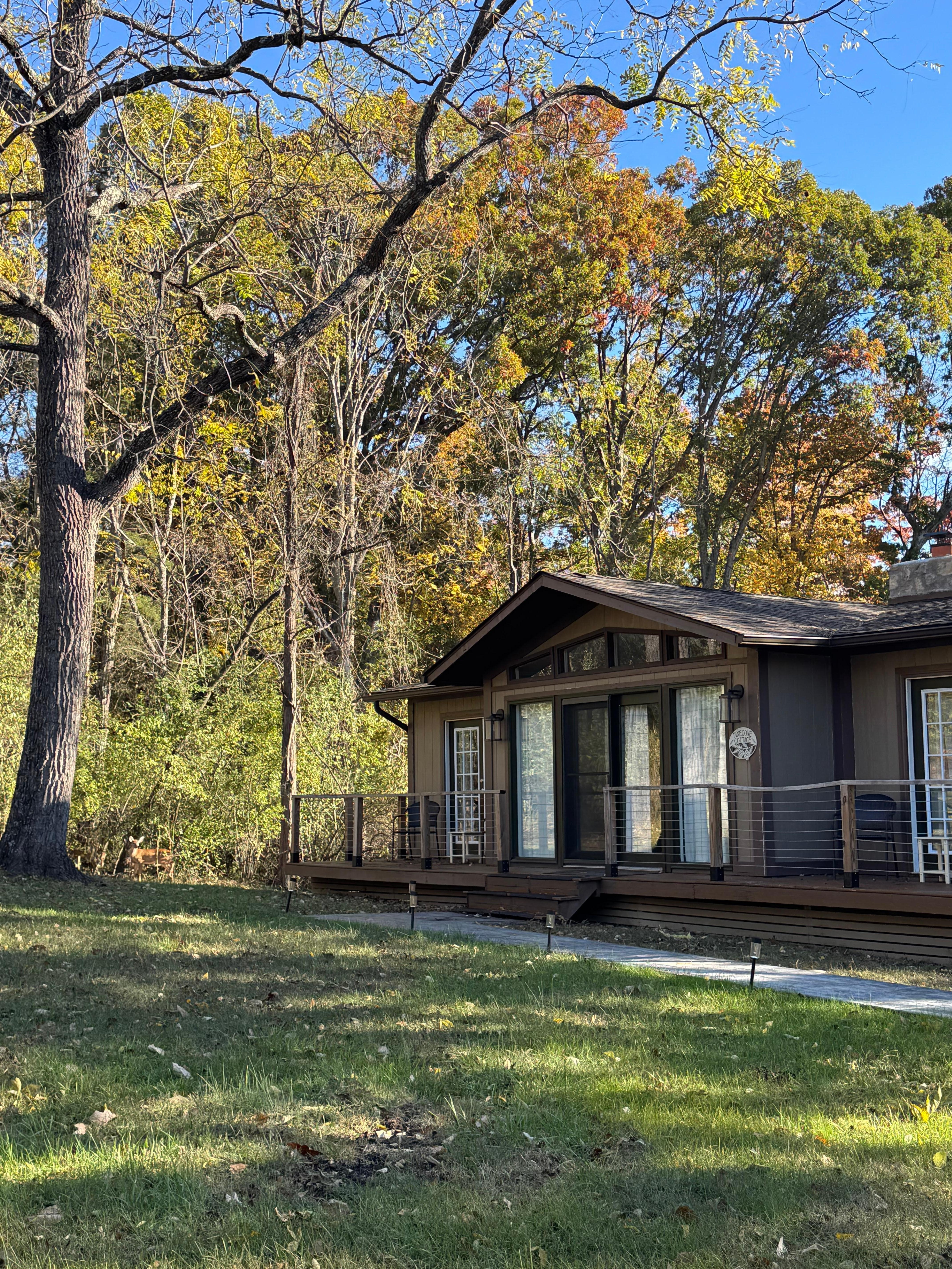 As we were leaving, we wanted to take a picture, and noticed some deer in the woods on the left! 