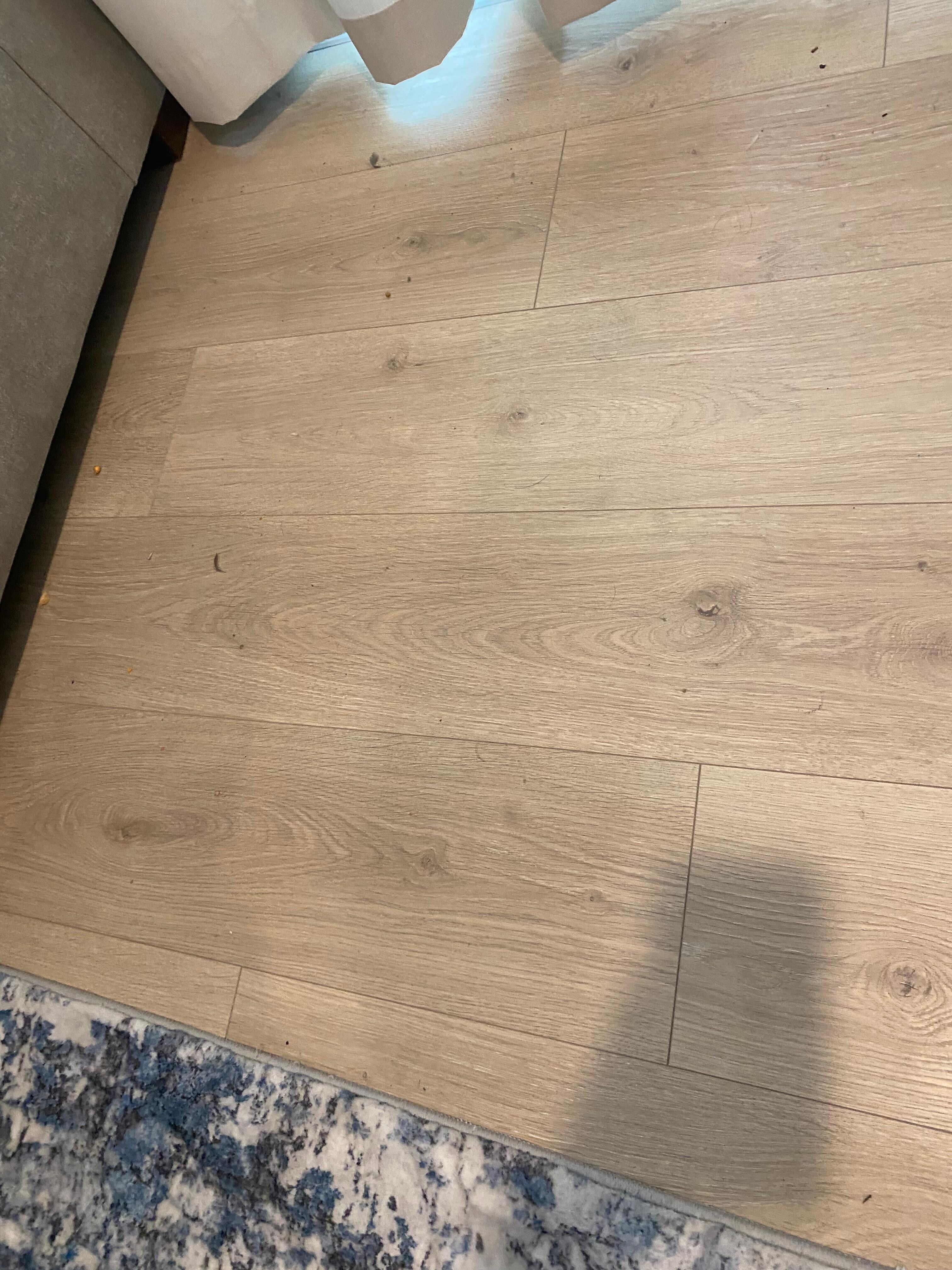 Dirty floors especially under furniture which toddlers will find. 