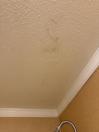 Mold on the roof of the bathroom