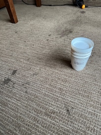 Disgusting floors