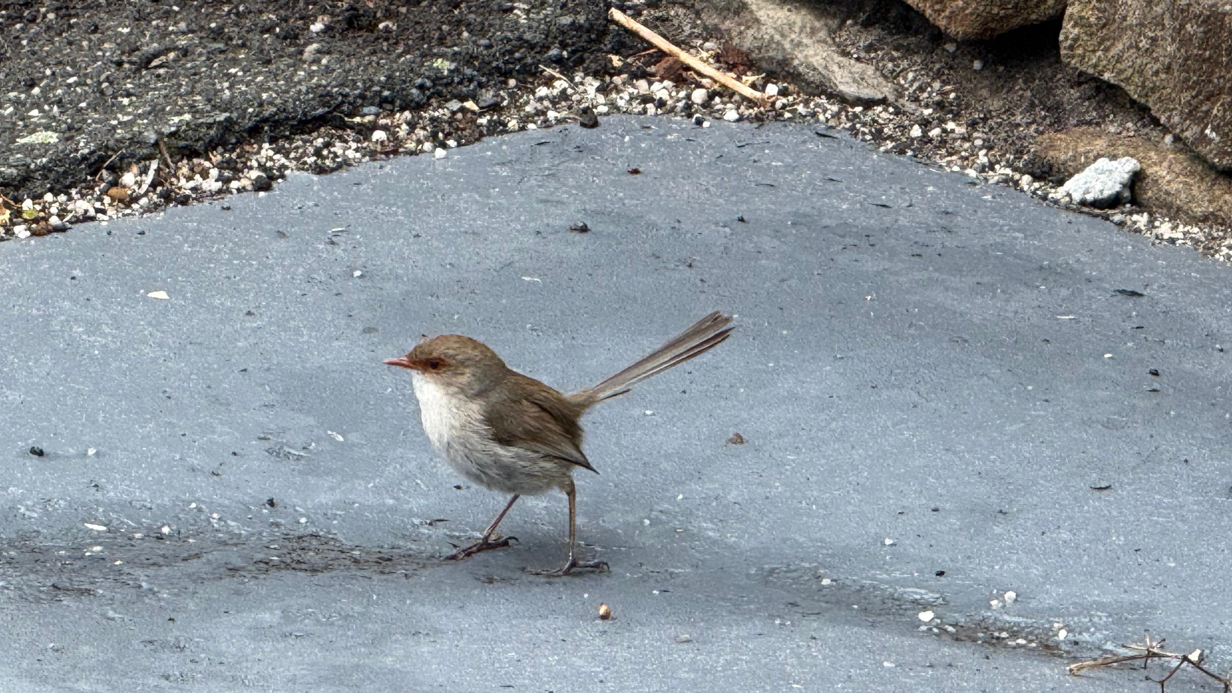 Taken from our front chairs 