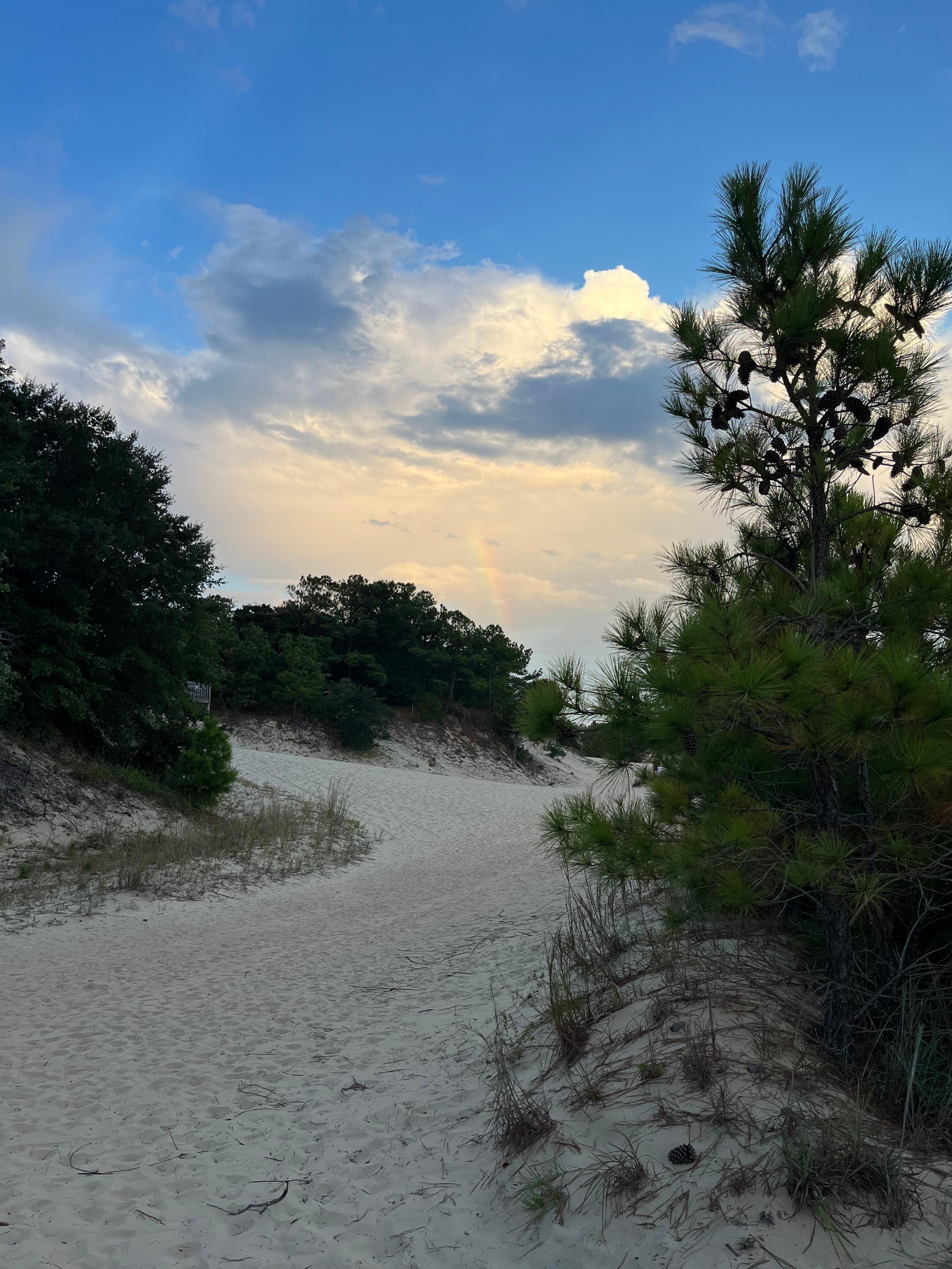 Jockey’s Ridge Park