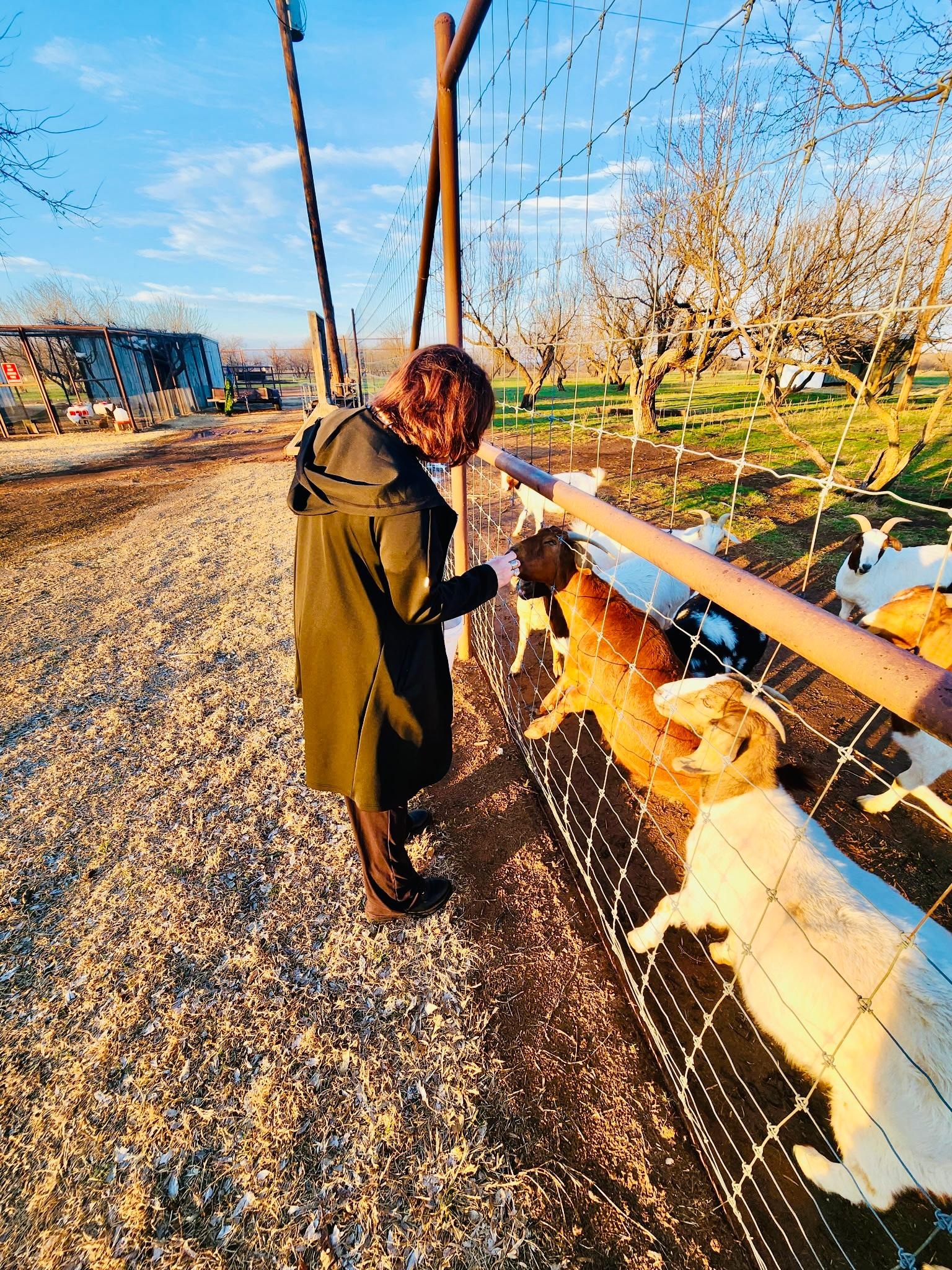 Me feeding the goats
