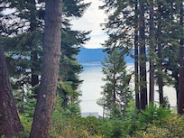 Gorgeous lake views on walk