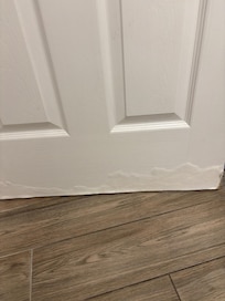 All main level doors water damaged