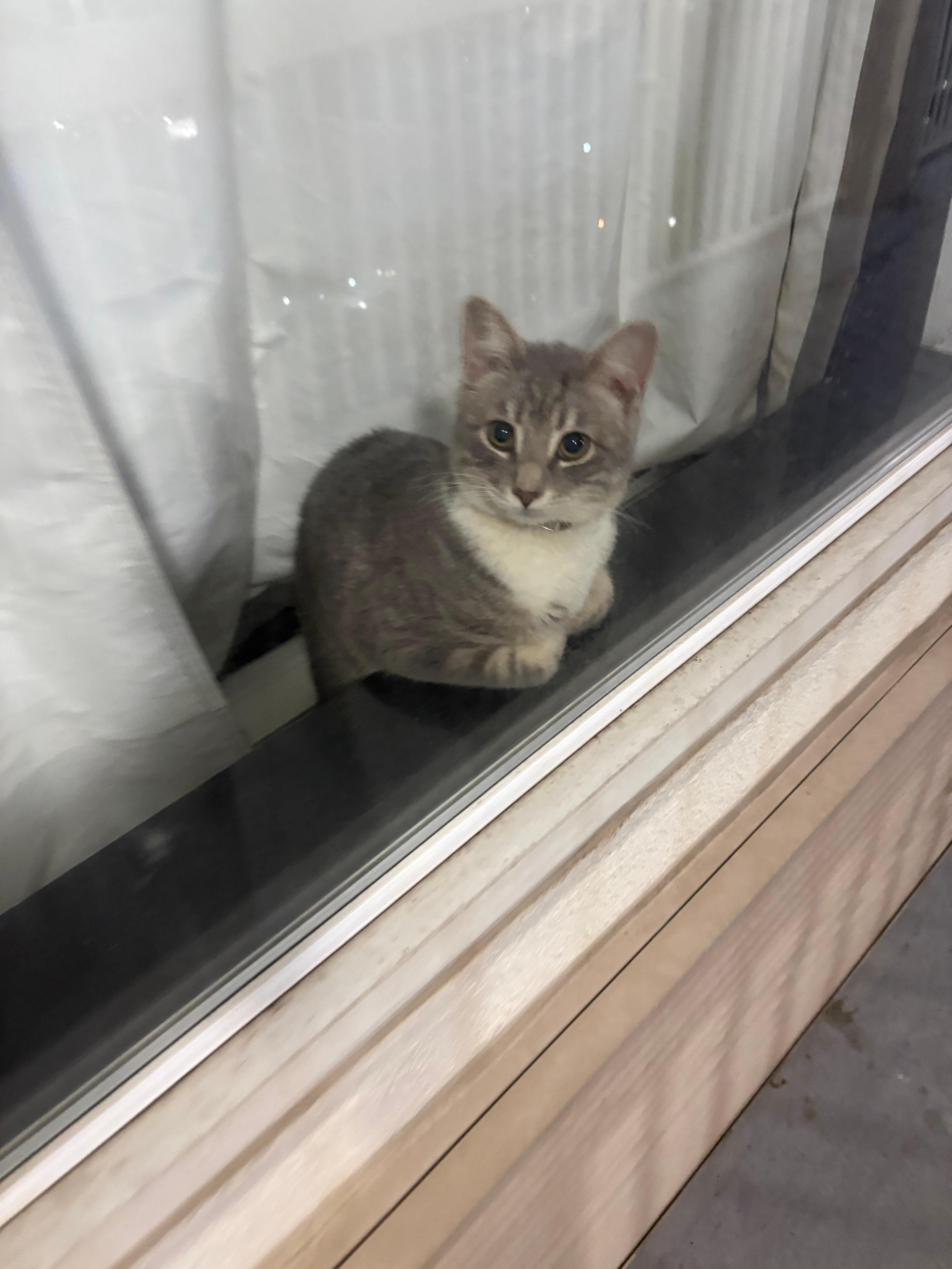 Coon in question..🥰