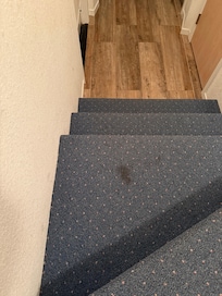 Carpet stains
