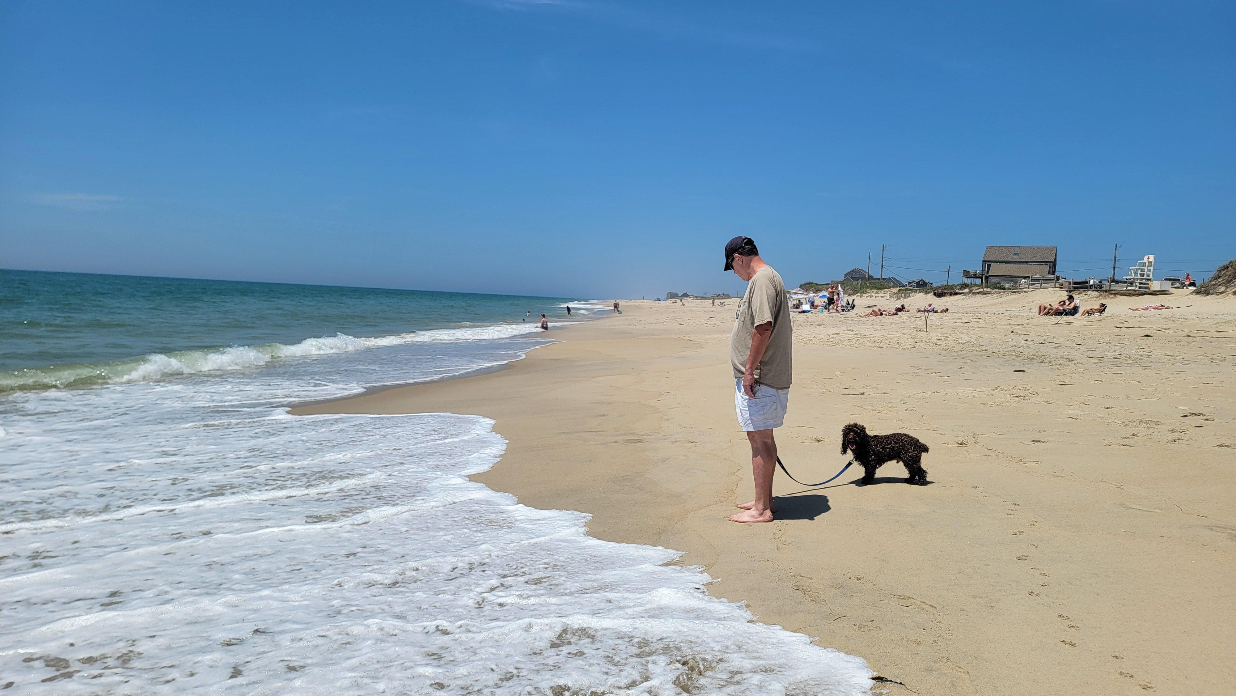 Freedom to bring your furry family member with you. How wonderful 😊