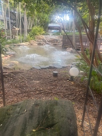 Nice little water feature in the middle of the resort