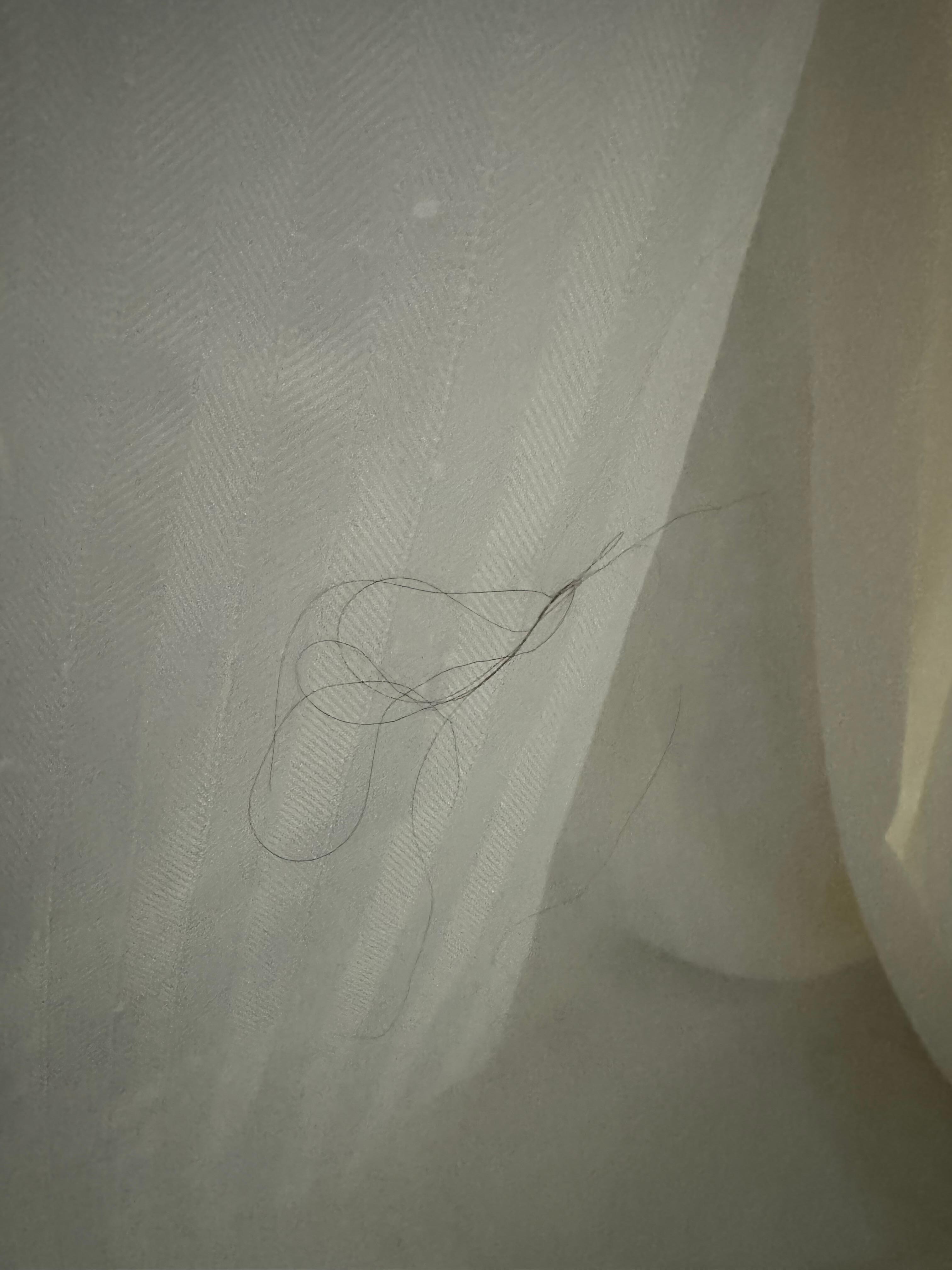 Shower curtain