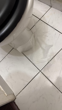 Toilet leaking from poor plumbing by day 2