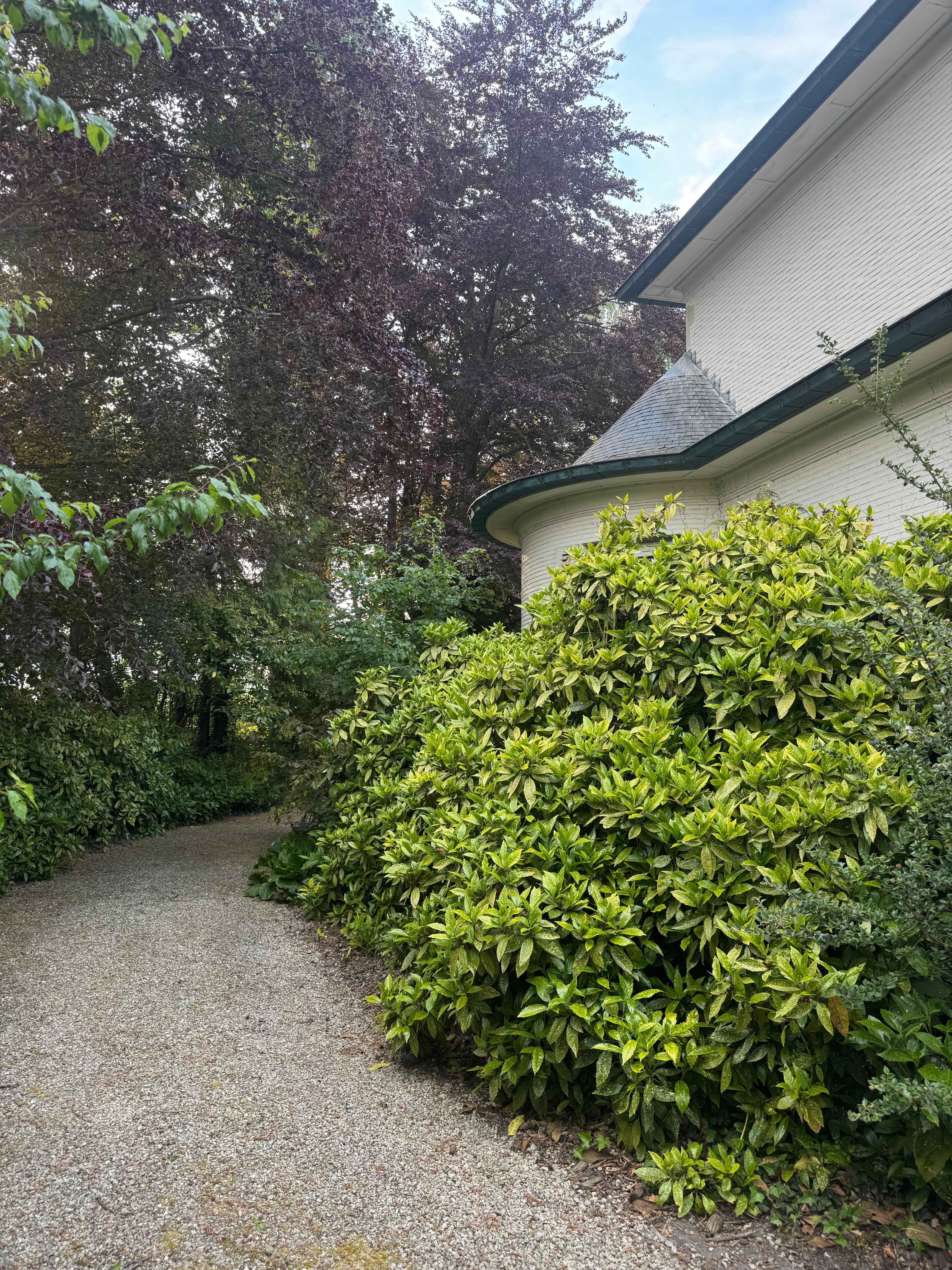 Petit sentier 
